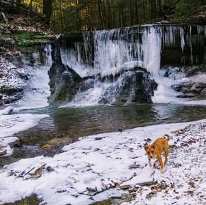 Meet your Posher, Justin